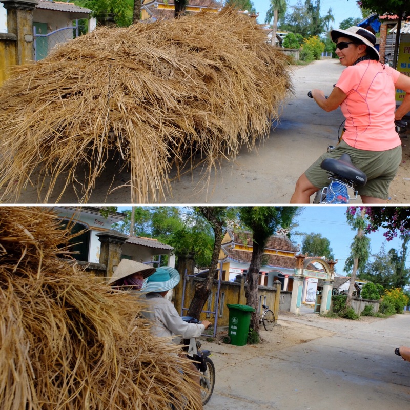 We had to make way for this mobile haystack, there was a bike with two people attached to the hay.